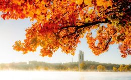 Hình ảnh mùa thu ở Úc